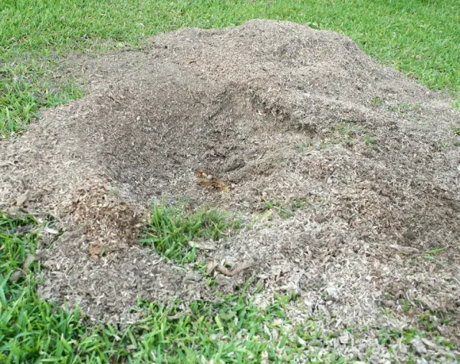 A pile of dirt is sitting on top of a lush green field.