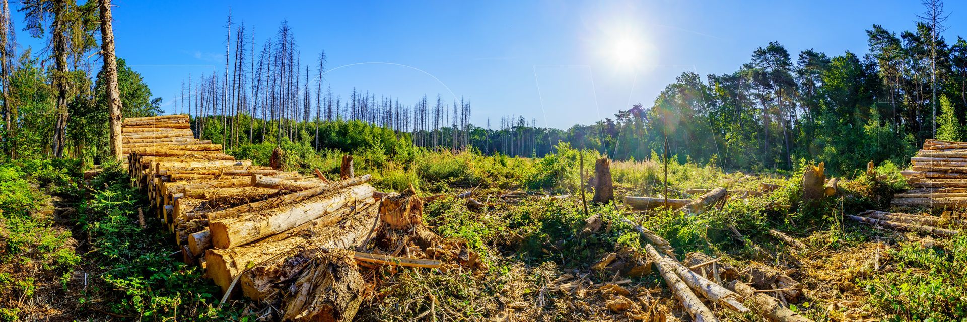 Panoramafoto Bürgerbusch, Schlebusch, Leverkusen
towi.de