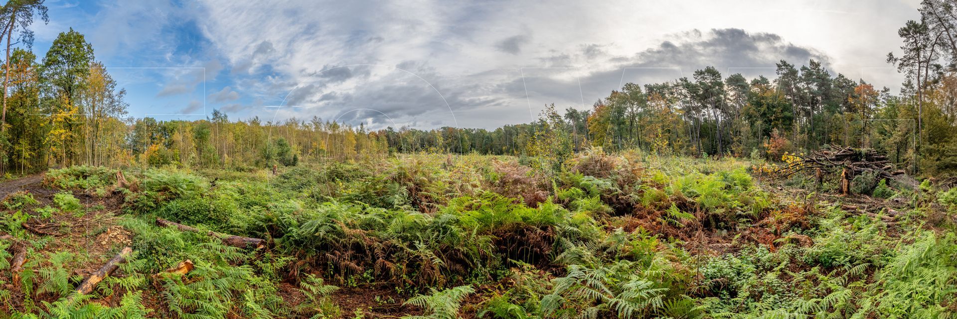 Panoramafoto Bürgerbusch, Schlebusch, Leverkusen
towi.de