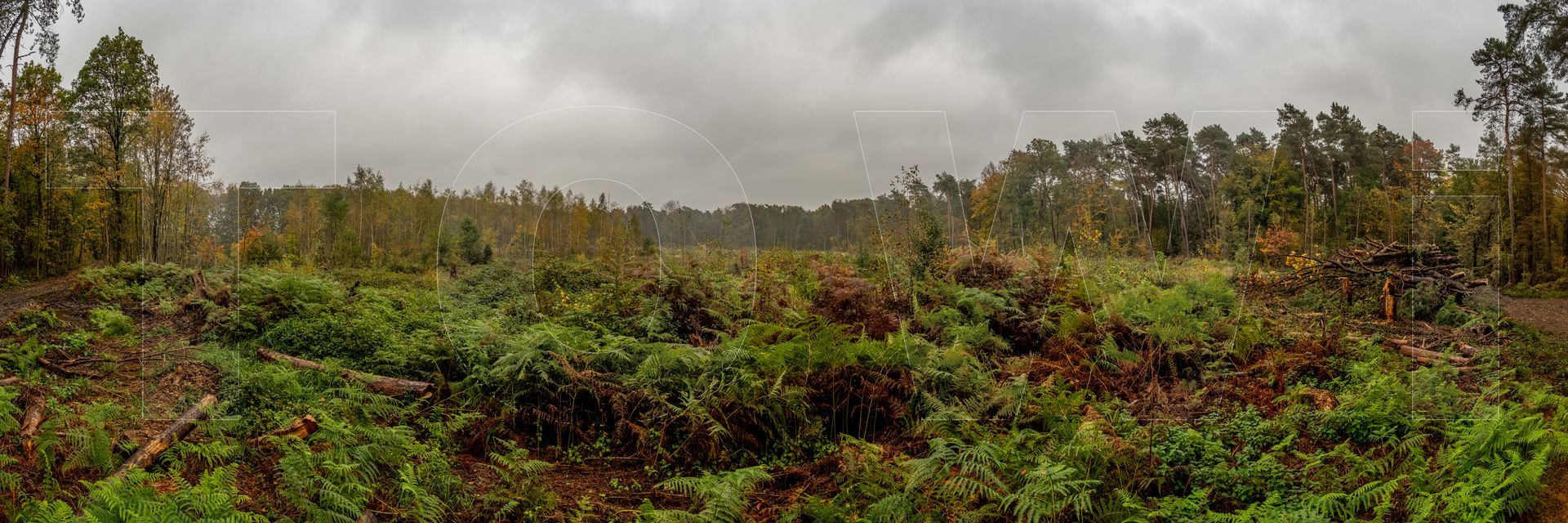 Panoramafoto Bürgerbusch, Schlebusch, Leverkusen
towi.de