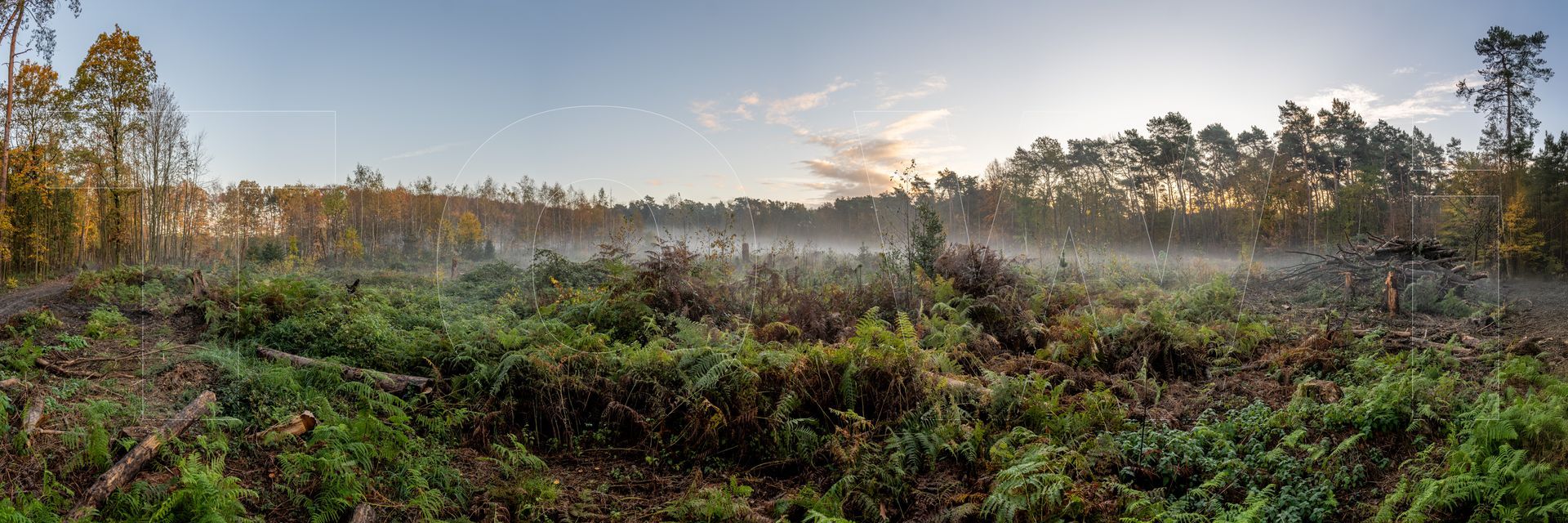 Panoramafoto Bürgerbusch, Schlebusch, Leverkusen
towi.de