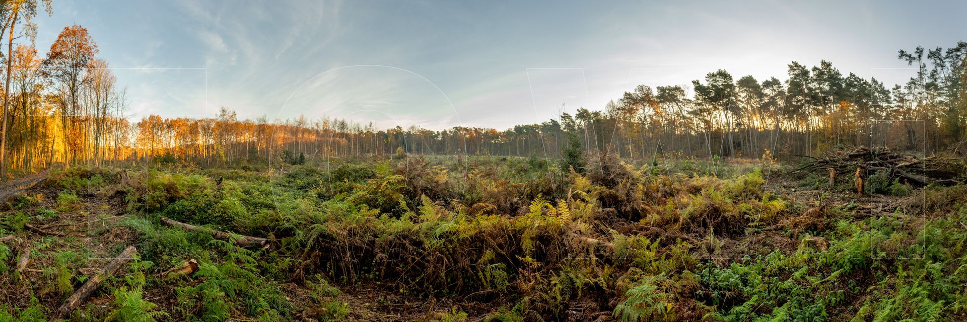 Panoramafoto Bürgerbusch, Schlebusch, Leverkusen
towi.de