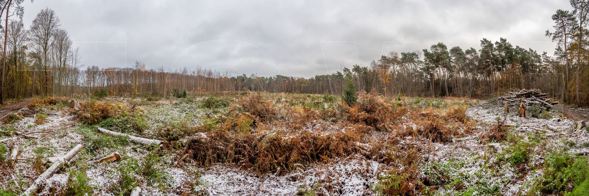 Panoramafoto Bürgerbusch, Schlebusch, Leverkusen
towi.de