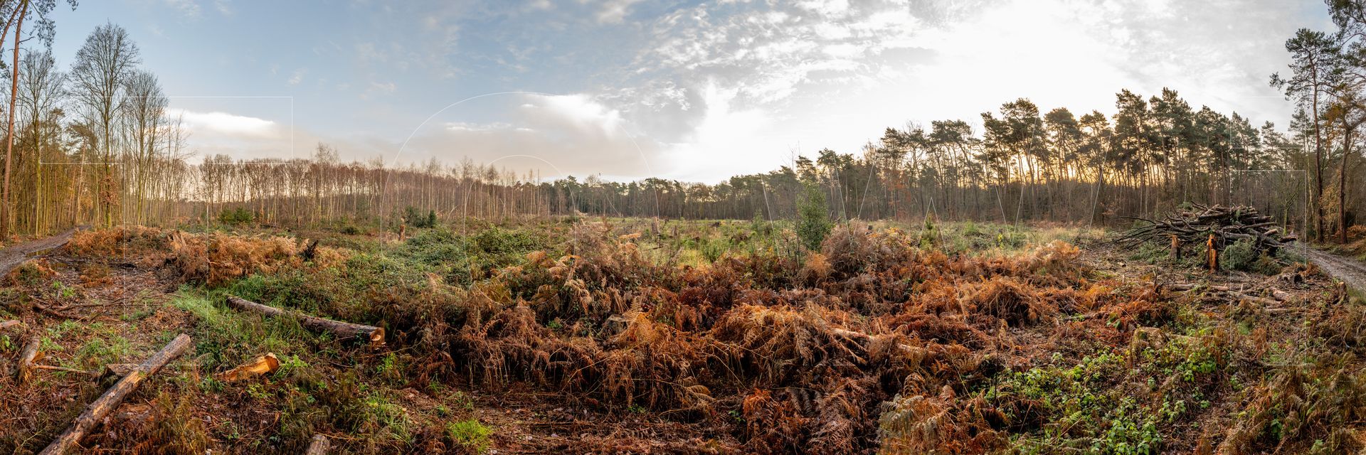 Panoramafoto Bürgerbusch, Schlebusch, Leverkusen
towi.de