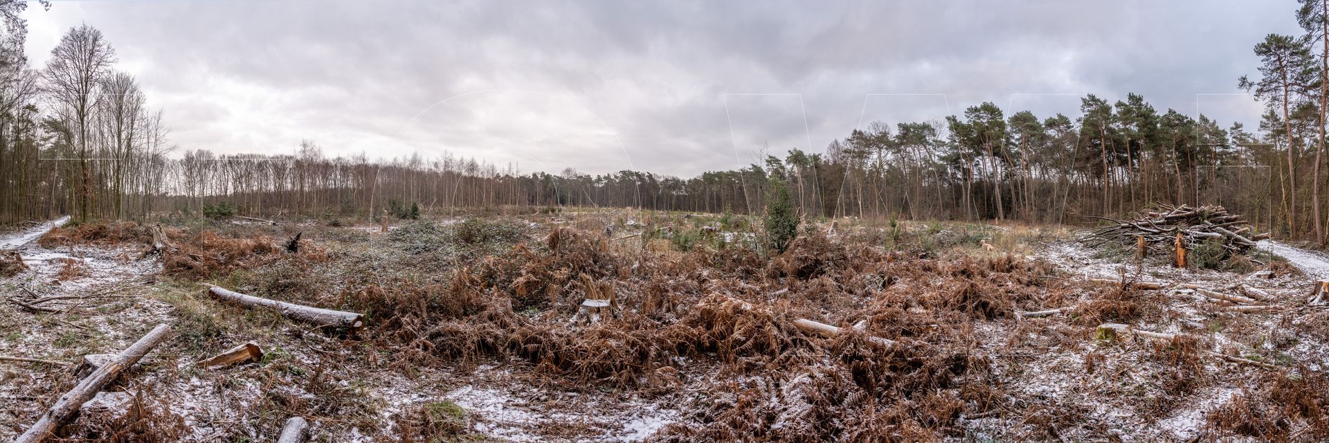 Panoramafoto Bürgerbusch, Schlebusch, Leverkusen
towi.de