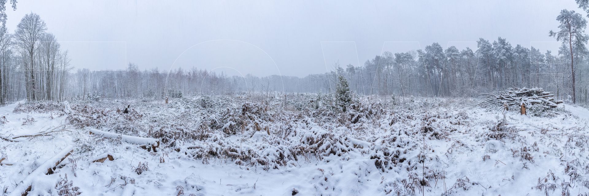 Panoramafoto Bürgerbusch, Schlebusch, Leverkusen
towi.de