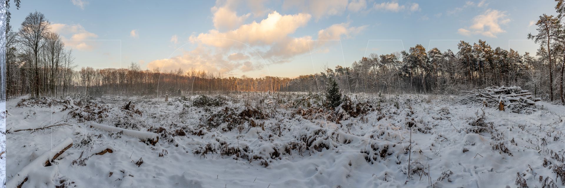 Panoramafoto Bürgerbusch, Schlebusch, Leverkusen
towi.de