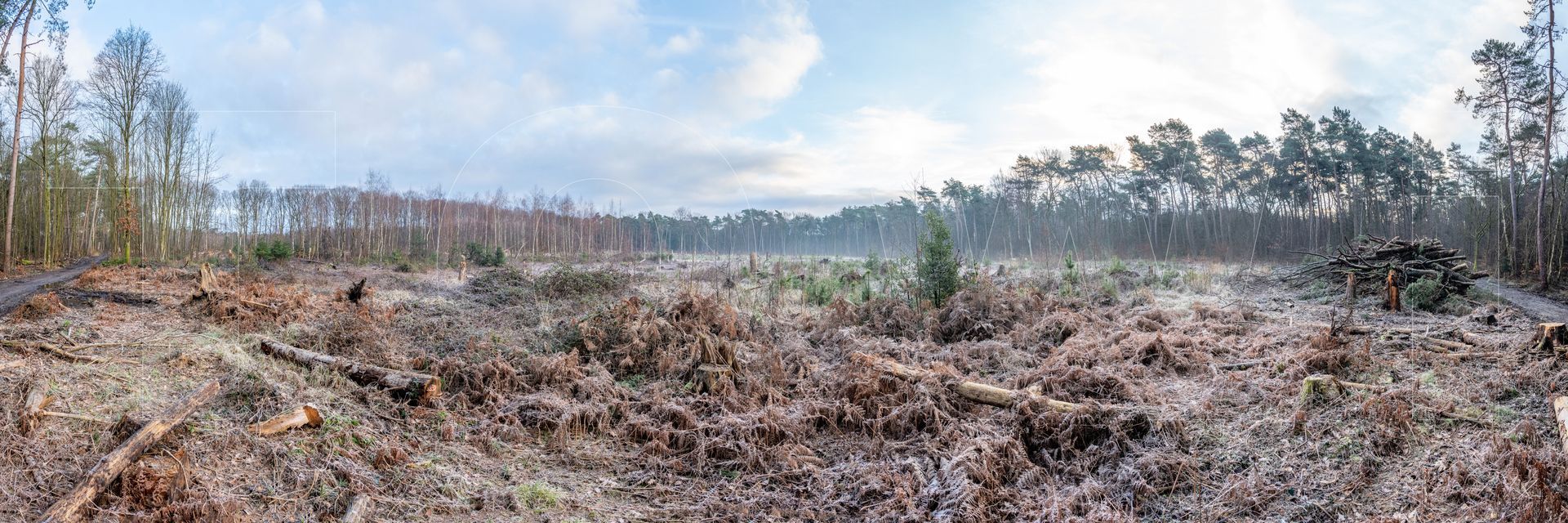 Panoramafoto Bürgerbusch, Schlebusch, Leverkusen
towi.de