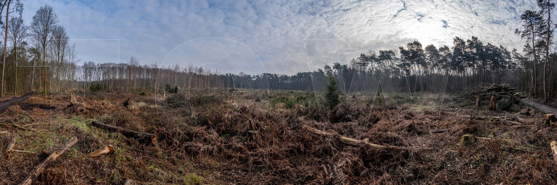 Panoramafoto Bürgerbusch, Schlebusch, Leverkusen
towi.de