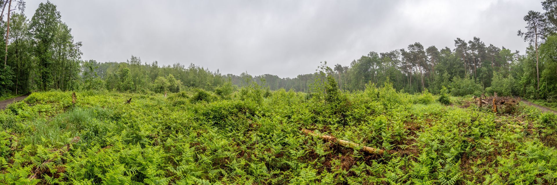 Panoramafoto Bürgerbusch, Schlebusch, Leverkusen
towi.de