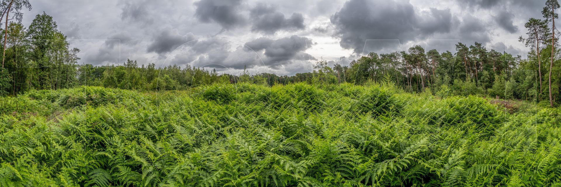 Panoramafoto Bürgerbusch, Schlebusch, Leverkusen
towi.de