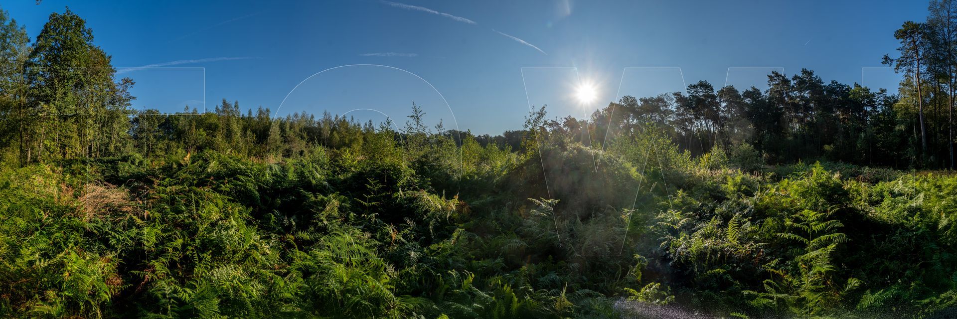 Panoramafoto Bürgerbusch, Schlebusch, Leverkusen
towi.de