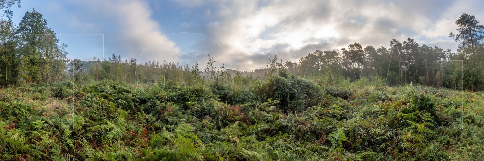 Panoramafoto Bürgerbusch, Schlebusch, Leverkusen
towi.de