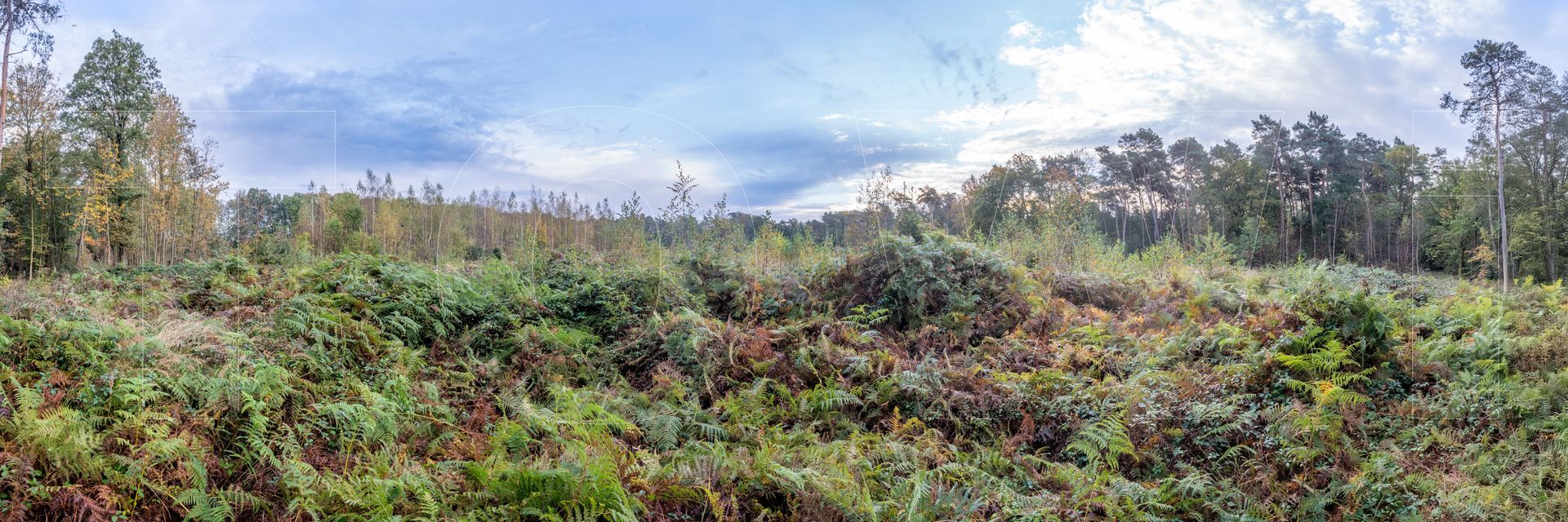 Panoramafoto Bürgerbusch, Schlebusch, Leverkusen
towi.de