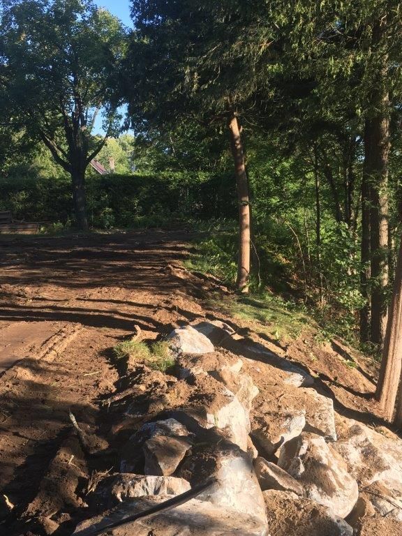 Un chemin de terre entouré d'arbres et de rochers au milieu d'une forêt.
