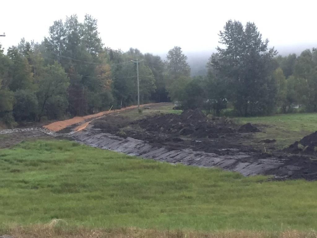 Un chemin de terre traversant un champ herbeux avec des arbres en arrière-plan