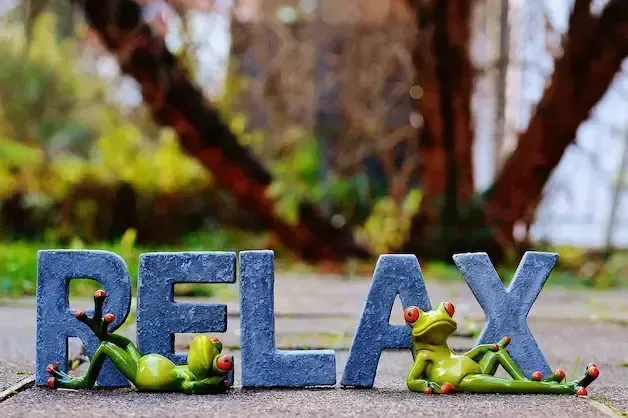 Two green frog figurines relax next to 