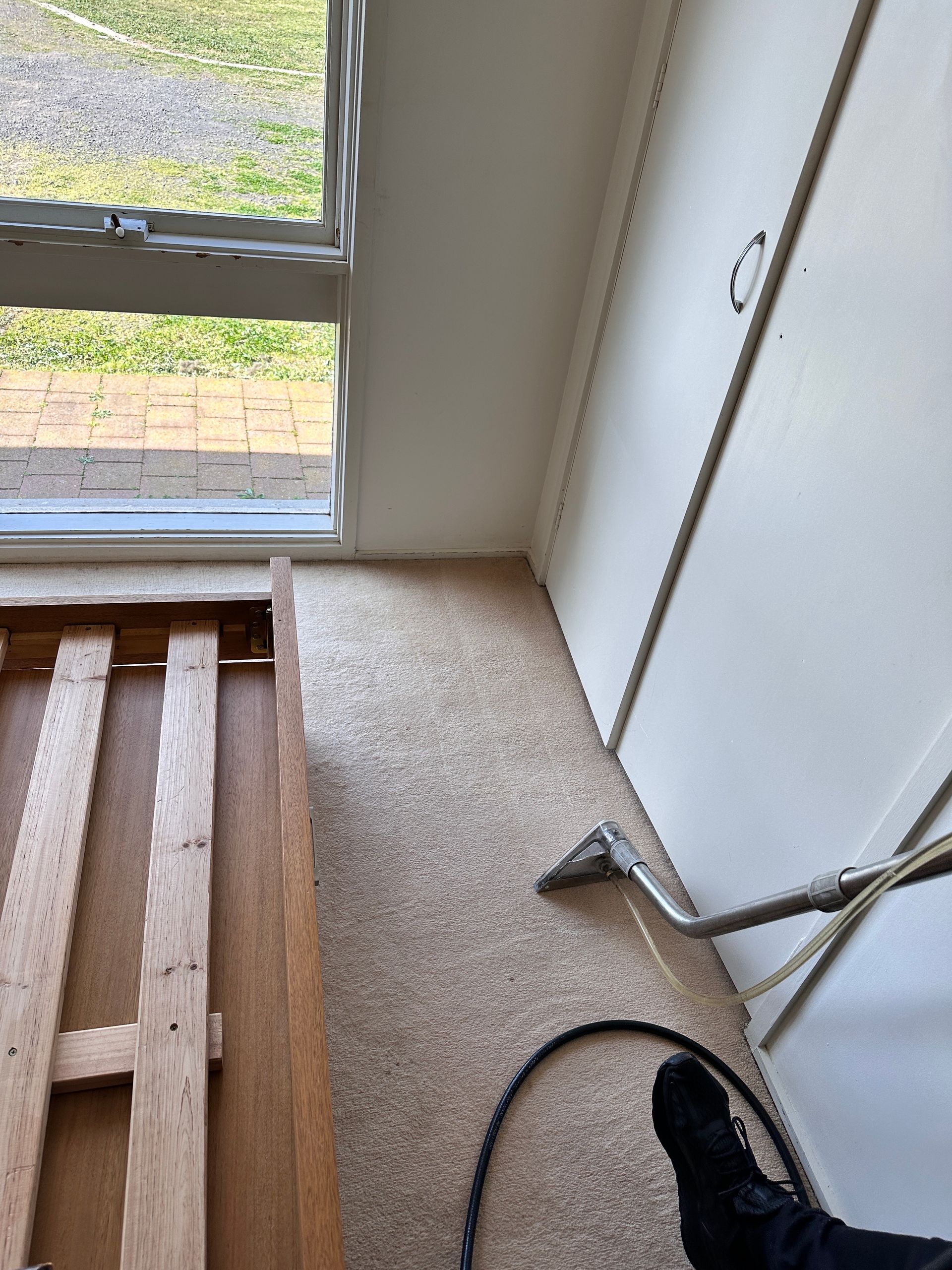 A person is using a vacuum cleaner to clean a carpet in a room.