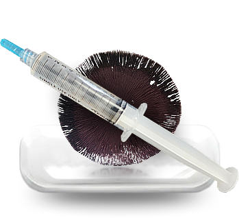 Mushroom spore syringes