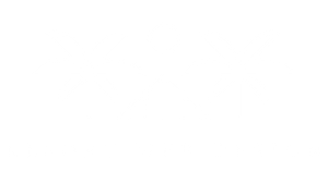 Blank white image