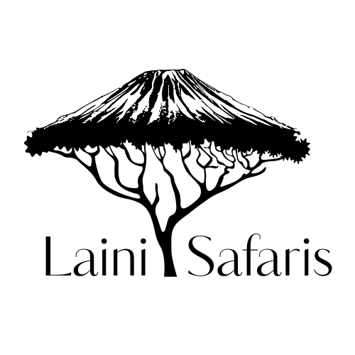Laini Safaris logo