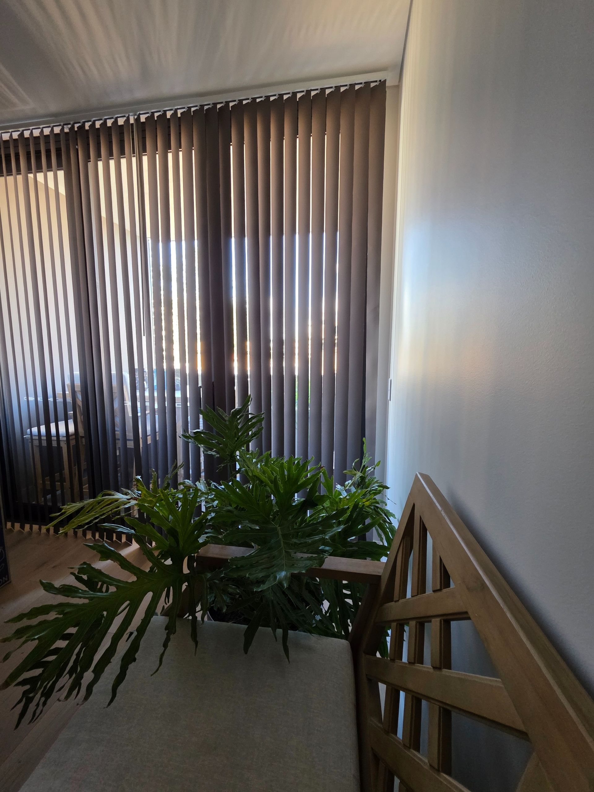 White-framed windows with gray and white zebra blinds, showing an outdoor view of buildings and greenery.