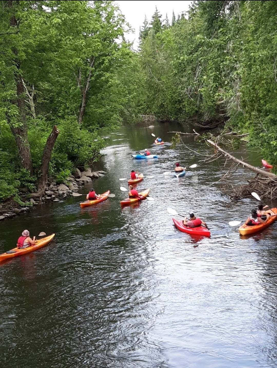 A group of kayaks the Clyde River with Vermont kayak rentals by Clyde River Recreation.