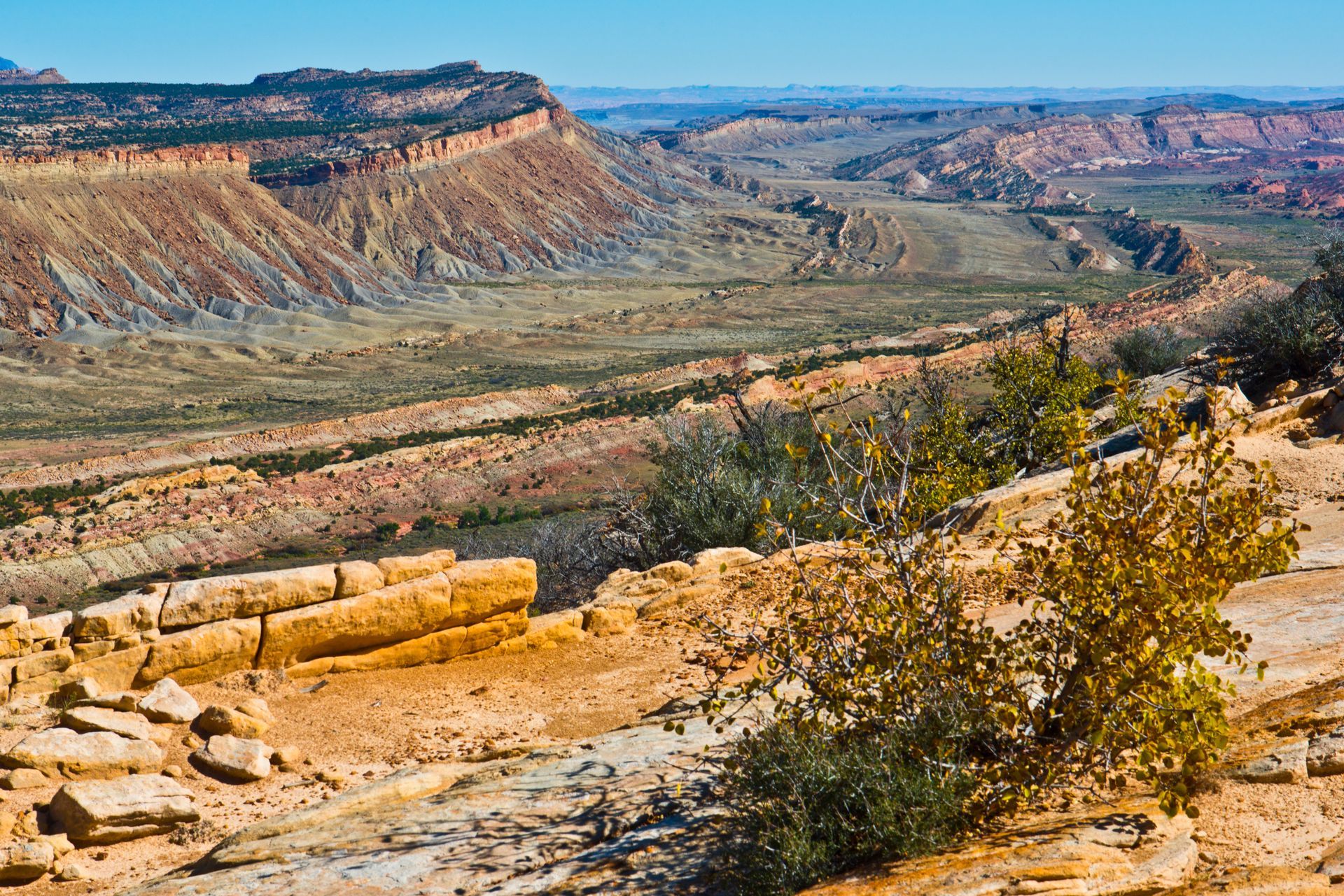 A view of a desert landscape with mountains in the background.