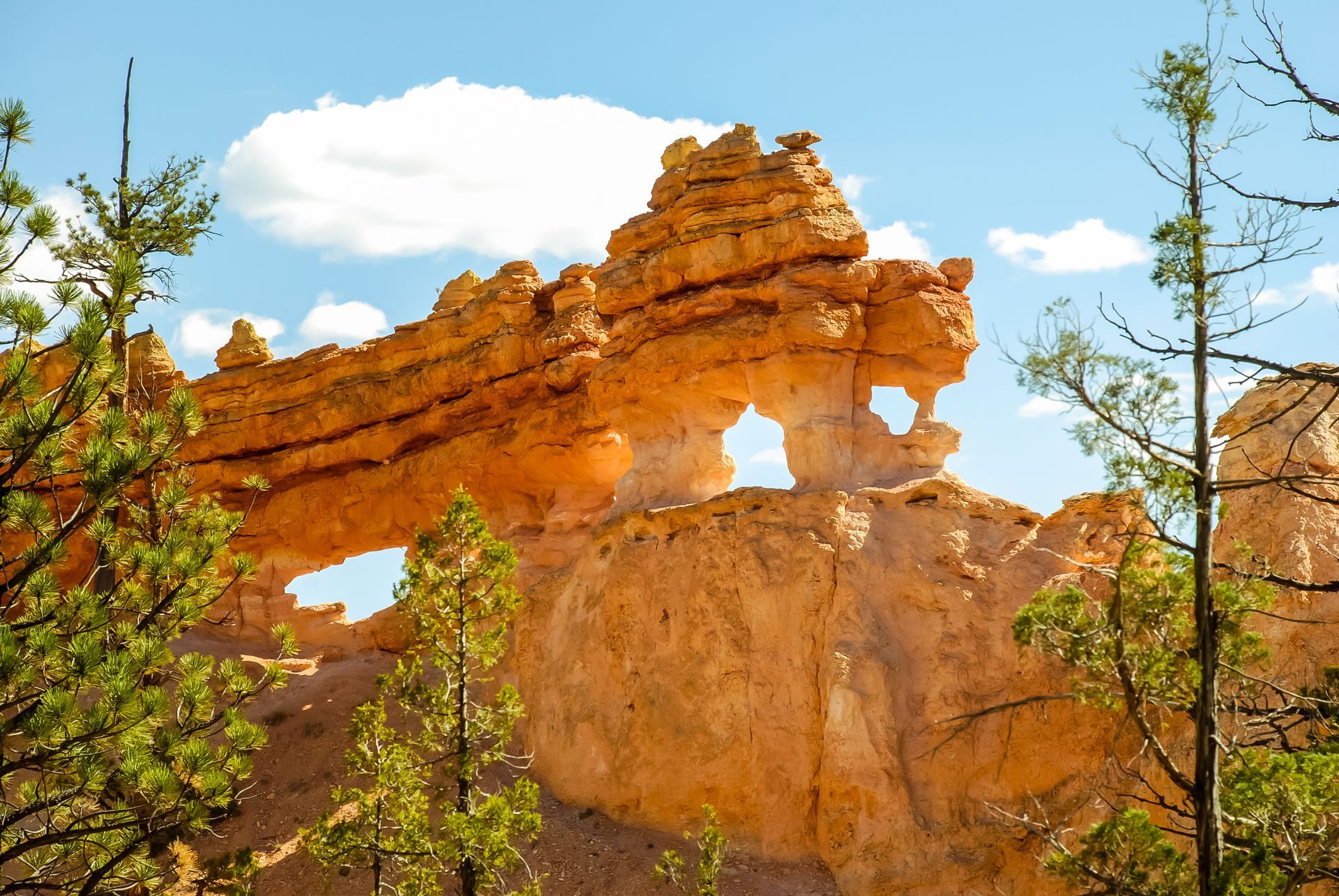 A large rock formation with trees in the foreground and a blue sky in the background