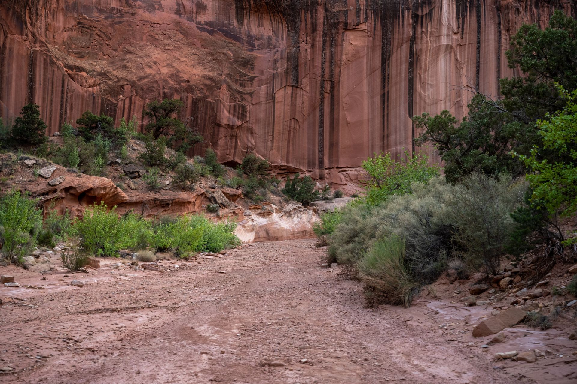 A dirt road in the middle of a desert surrounded by trees and rocks.