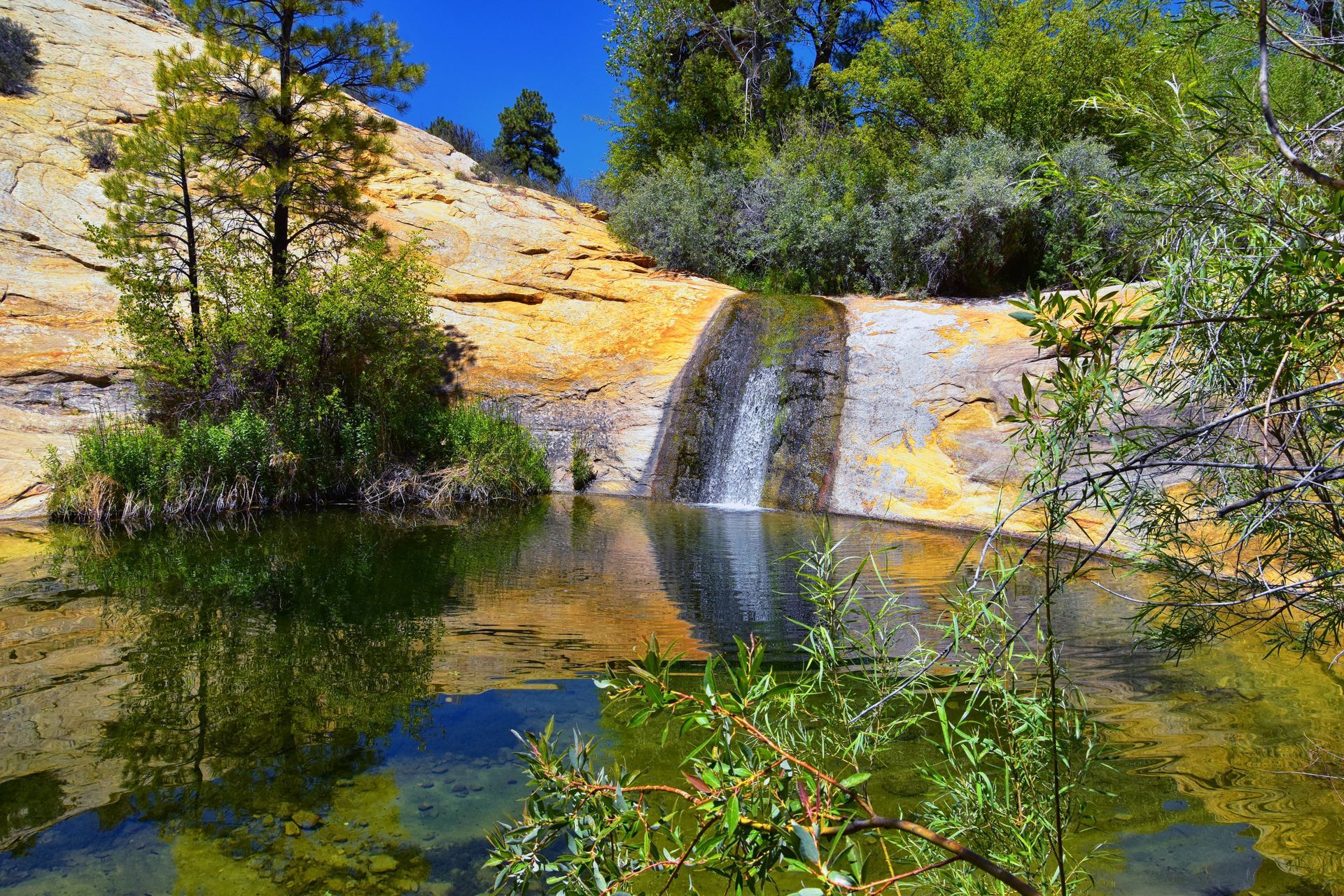 There is a small waterfall in the middle of a pond surrounded by trees.