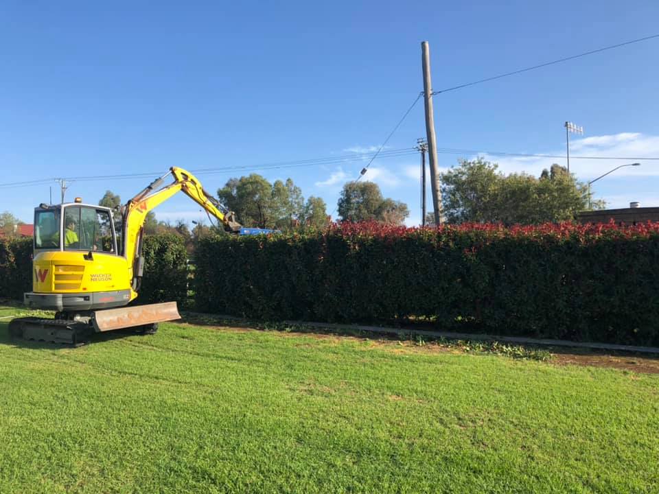 Hedgecutting machine is performing maintenance on a hedge in a commercial land in Dubbo