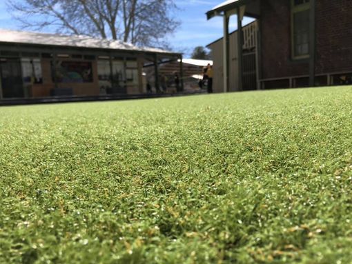 Synthetic Grass Close-up — Landscaping Services in Dubbo, NSW