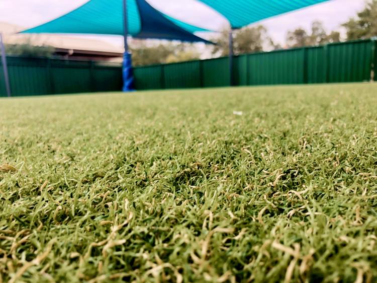 Synthetic Grass 3 — Landscaping Services in Dubbo, NSW