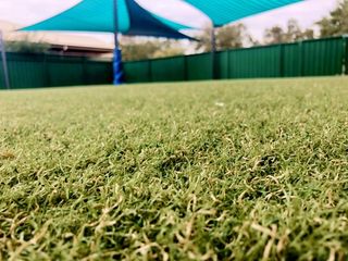 Synthetic Grass — Landscaping Services in Dubbo, NSW