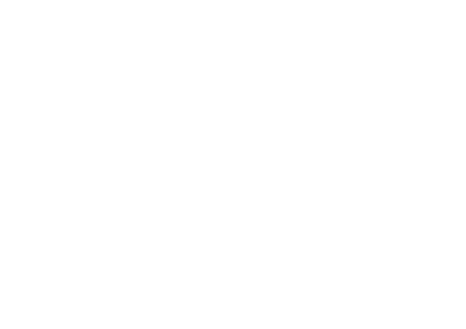 Dixon Szczucinski Law Firma logo