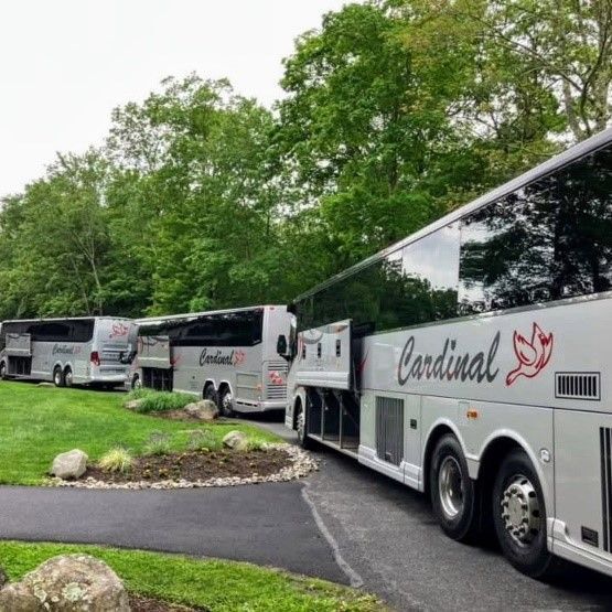 three silver buses in wooded setting.