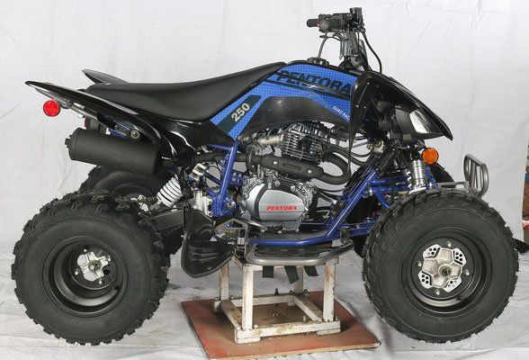 A blue and black atv with the number 250 on it