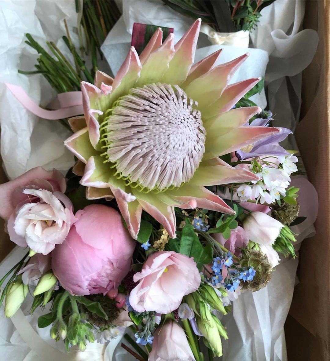 Cheltenham florist weddings, events, sympathy & same day flower delivery.