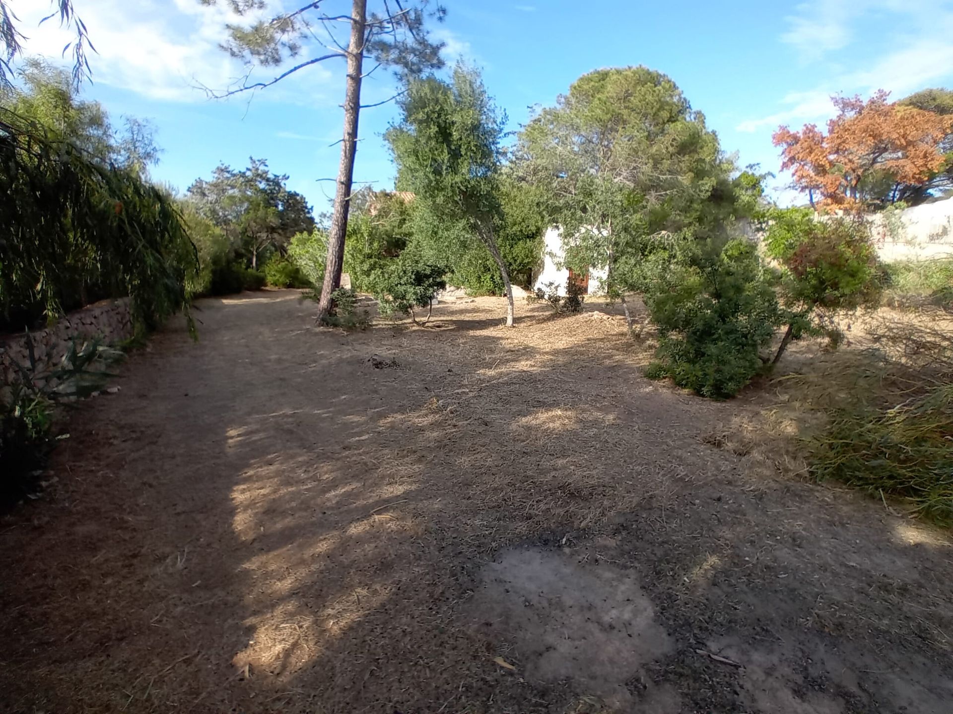 pulizia terreno agricolo