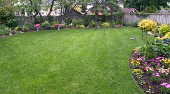 backyard lawn with septic tank underground in Jacksonville, NC