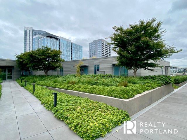 The Cosmopolitan Roof Deck