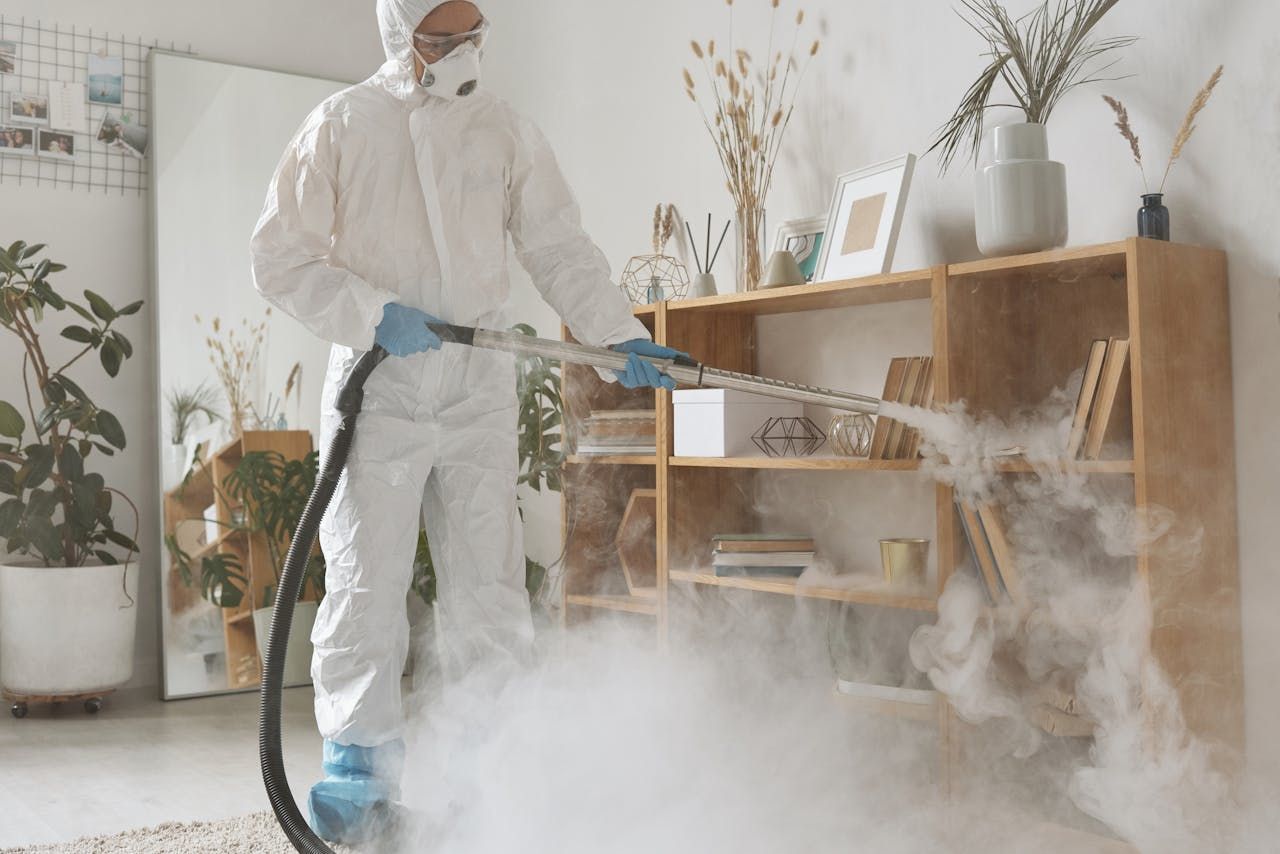 Identifying Common Office Pests and Their Signs Identifying Common Office Pests and Their Signs