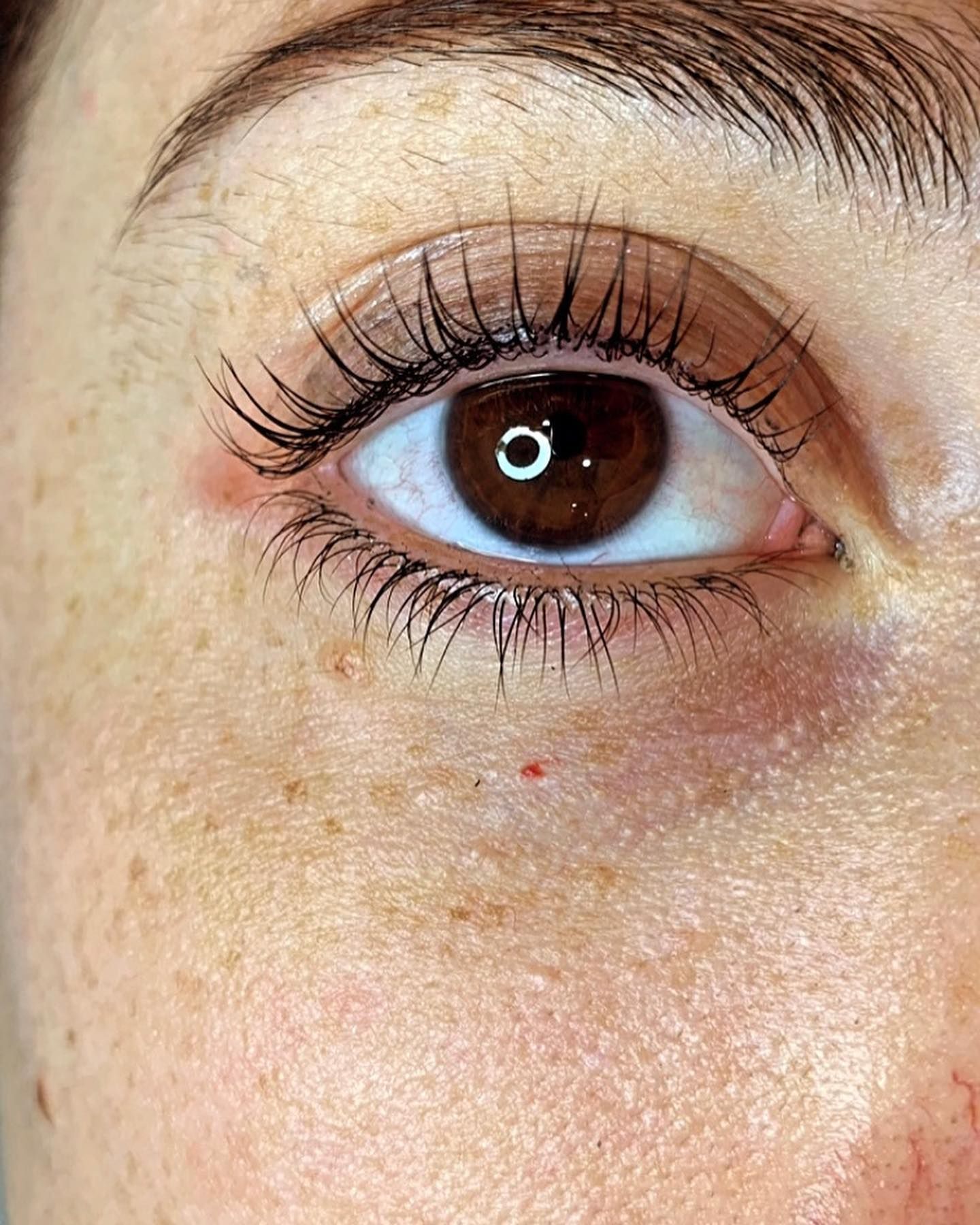 Primo piano di un occhio marrone con lunghe ciglia, pelle chiara e lentiggini.