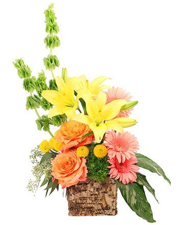 A bouquet of flowers in a wooden vase on a white background.