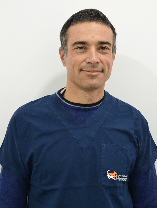Dr. Luigi Zumbo