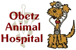 Médico do Hospital - Animais – Apps no Google Play