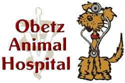 animal family veterinary care center logo