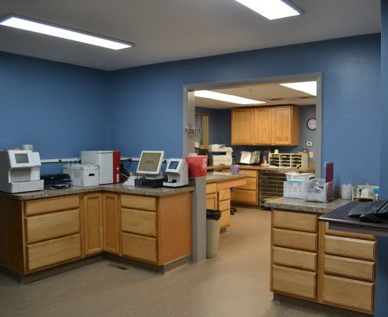 laboratory inside Obetz Animal Hospital