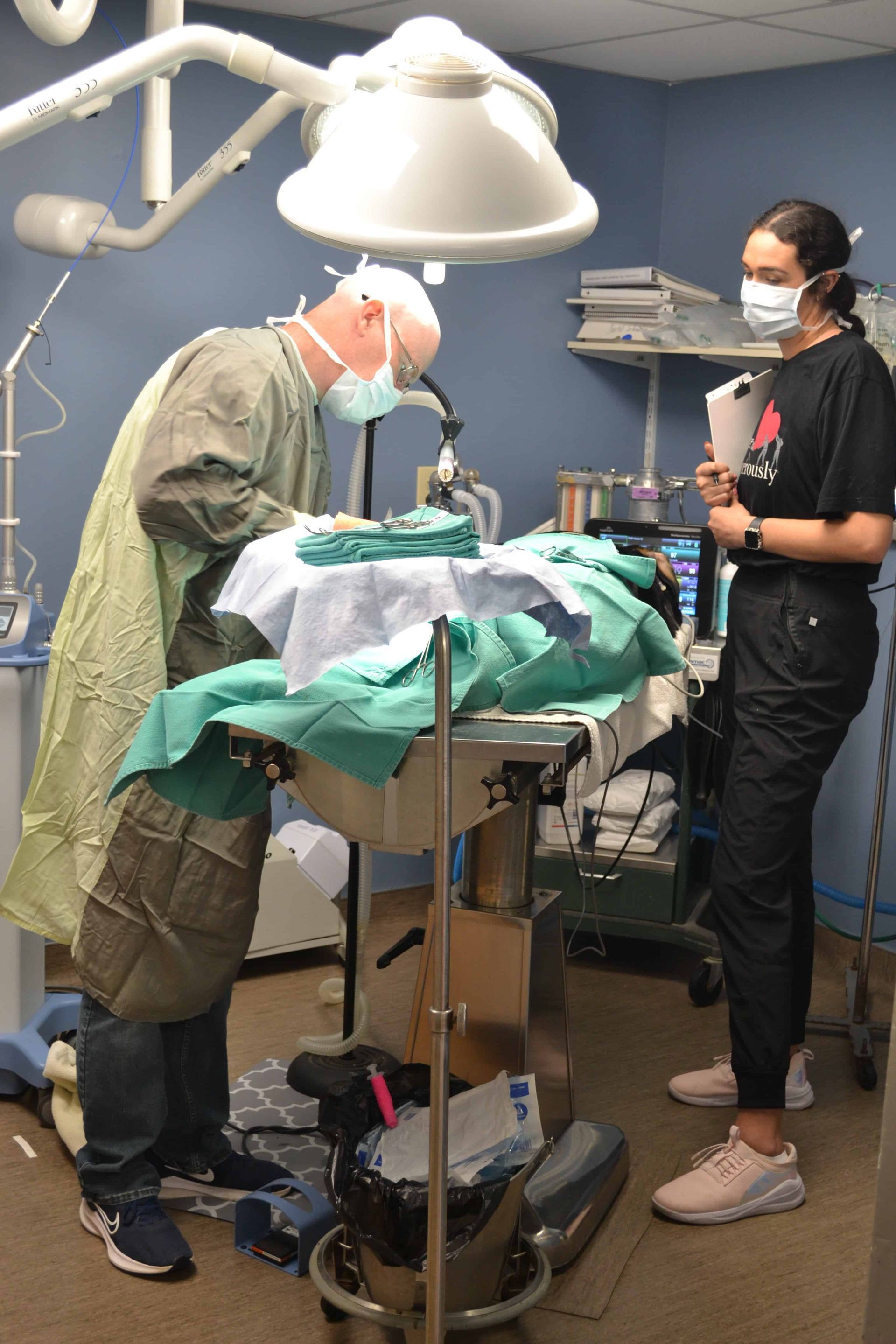 veterinarian in animal family veterinary care center performing surgery